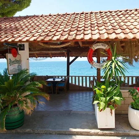 Apartment Danica Gradac (Split-Dalmatia)